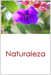 INFOMIÑO INFOMIÑO.COM INFORMACION BAIXO MIÑO NOTICIAS REPORTAJES OCIO TURISMO EVENTOS CONCURSOS A GUARDA O ROSAL TOMIÑO TUI OIA VALENCA VILANOVA DE CERVEIRA CAMINHA EMPRESAS CONTRATACION DE PUBLICIDAD PAQUETES PUBLICITARIOS NATURALEZA FLORA FAUNA RED NATURA 200