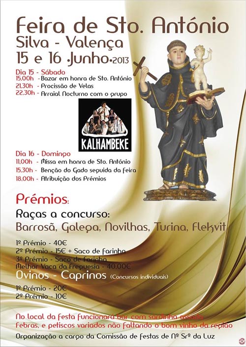 Organización a cargo da Comisión de Festas de N Sra da Luz