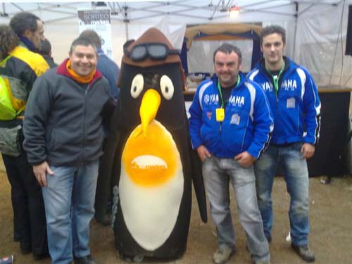 PINGUINOS 2011