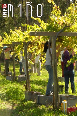 COMEZA A VENDIMA 2011-LAGAR DE CERVERA
