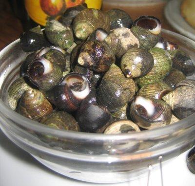 CARAMUXOS - OIA 31-1 XULLO 2010