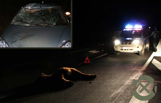El suceso tenía lugar sobre las 19:30h de la tarde, cuando ya había anochecido, por lo que la visibilidad era limitada