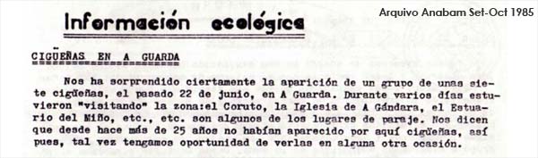 Tres ejemplares de Cigüeña Blanca (Ciconia Ciconia) se han dejado ver en pasados días en la zona de Pías en O Rosal.