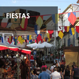 Fiestas religiosas, Romer&iacute;as,procesiones, conciertos, festivales en O Baixo Mi&ntilde;o