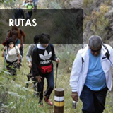 Reportajes e informaci&oacute;n sobre las rutas que puedes hacer en O Baixo Mi&ntilde;o