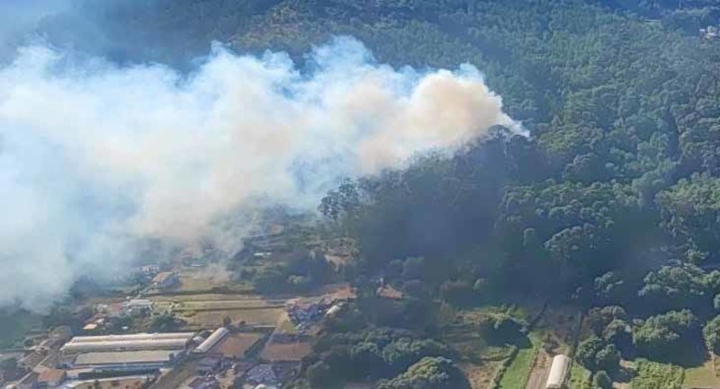  Incendio forestal entre A Guarda y O Rosal obliga a desplegar medios de extincin de urgencia 