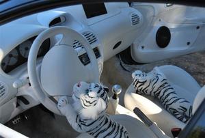 5 CERVEIRA TUNNING SHOW 2010