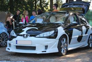 5 CERVEIRA TUNNING SHOW 2010