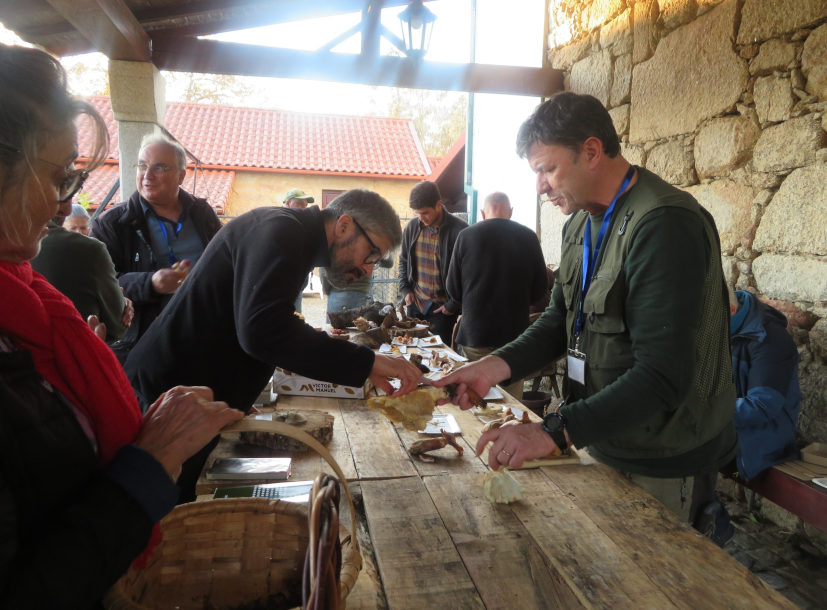 La III Jornada Micológica de Moncao identifica 73 especies y revela la riqueza de la micología local