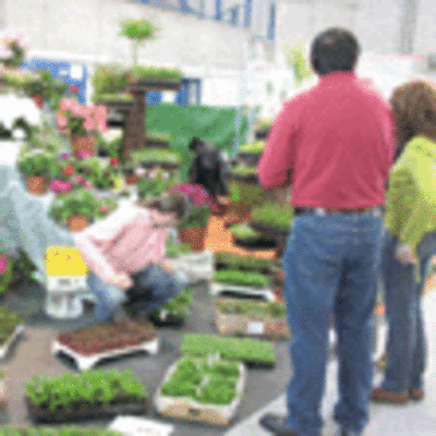 ESPECIAL - IX MOSTRA DE CULTIVOS DO BAIXO MIO EN GOIN TOMIO