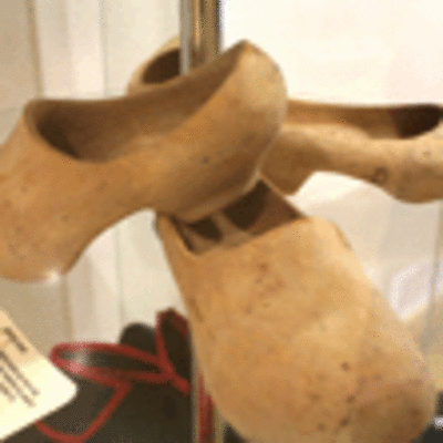 ESPECIAL - TUI ACOLLE A EXPOSICIN -CON PES E CABEZA-  ATA O 27 DE MAIO