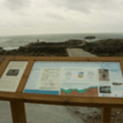 ESPECIAL - REFORMA DA CETREA REDONDA DE A GUARDA