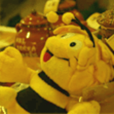 ESPECIAL - EXPOSICIN FESTA DA MEL E DA CASTAA EN VILANOVA DE CERVEIRA