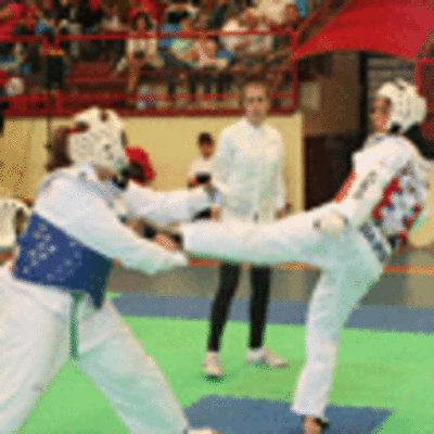 ESPECIAL - I TORNEO TAEKWONDO CONCELLO DO ROSAL 2012
