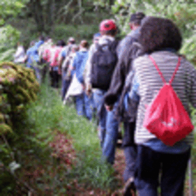 ESPECIAL - ANDAINA A GUARDA RUTA DO MOSTEIRO DE SANTA CRISTINA DE RIBAS DO SIL