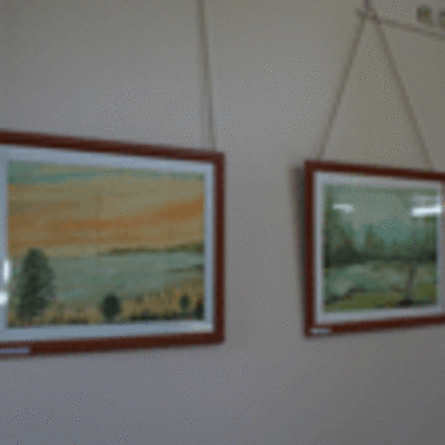 ESPECIAL - EXPOSICIN DE MARINO LAMAS NO CENTRO CULTURAL DE A GUARDA