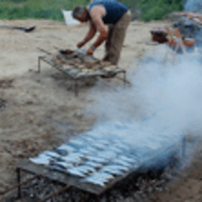 FOTOGRAFAS SARDIADA 2012 ASOCIACIN DE VECIOS O ARBOL DE TOMIO