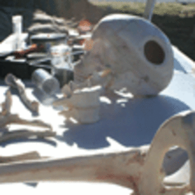 ESPECIAL - OBRADOIROS A VIDA NO CASTRO NO MONTE STA. TREGA DE A GUARDA