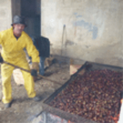 ESPECIAL - MAGOSTO NO CASINO DE CAMPOSANCOS