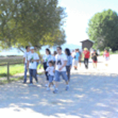 ESPECIAL - RUTA GUIADA POR LAS MARISMAS Y LA RIBERA FLUVIAL DE LA DESEMBOCADURA DEL MIO