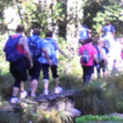 ESPECIAL - MIS DE 100 PERSOAS PARTICIPARON NA SEXTA ANDAINA DO 2012 ORGANIZADA POLO CONCELLO DE A GUARDA