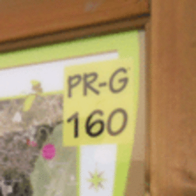 HOXE SBADO 22 DE SETEMBRO PRESENTARASE A PR-G160 RUTA DA DESEMBOCADURA DO MIO