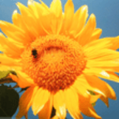 ESPECIAL - EXPOSICION FOTOGRFICA DO I CONCURSO DE FOTOGRAFA DE PAISAXE