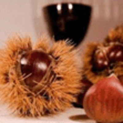 CASTAADA 2012: O 10 DE NOVEMBRO EN CAMPOSANCOS