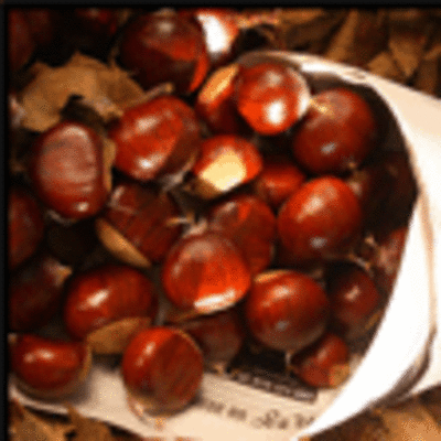 MAGOSTO HOXE SBADO 17 DE NOVEMBRO EN AMORN-TOMIO