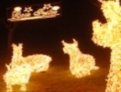 VALENA FORTALEZA DE NATAL - OS SONS, AS CORES E A ANIMAAO DA FORTALEZA MGICA