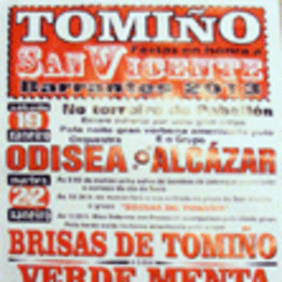 FESTAS EN HONRA DE SAN VICENTE BARRANTES TOMIO 2013 19-22 ENERO 