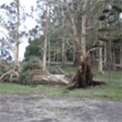 ESPECIAL - LOS EFECTOS DE LA CICLOGNESIS EXPLOSIVA GONG