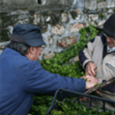 ESPECIAL - SAN XON DE TABAGN PREPARA O ARTSTICO ARCO DA SADE E SAN BRAIS 2013