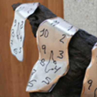 ESPECIAL - EXPOSICIN COLECTIVA DE CARLOS FIERRO E CARLOS FERNNDEZ NO AUDITORIO DE GOIN