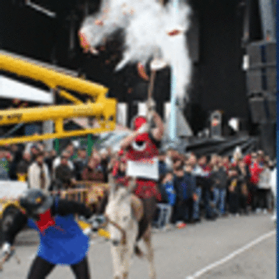 ESPECIAL - CORRIDA DO GALO 2013 EN FORNELOS - O ROSAL