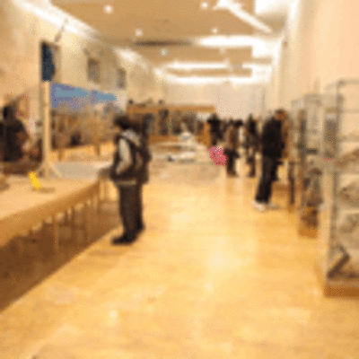 ESPECIAL - INAUGURACIN EXPONATUR 2013 EN TUI