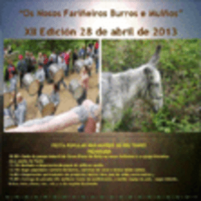XII EDICIN OS NOSOS FARIEIROS BURROS E MUOS O 28 DE ABRIL DE 2013 EN TUI