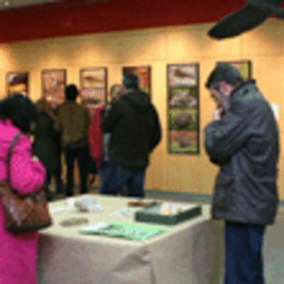 ESPECIAL - INAUGURACIN E EXPONATUR 2013 EN A GUARDA