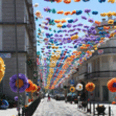 ESPECIAL - VILA PRAIA DE ANCORA EM FLOR 2013