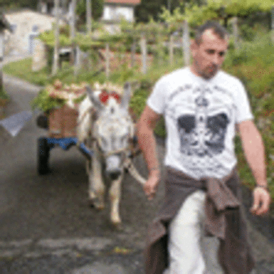 A COMISIN DE FESTAS DE VILAMEN, ORGANIZA O DA 8 DE XUO, A II FESTA DO MILLO, CON MUIADA EN VIVO, SARDIADA E EMPANADAS 