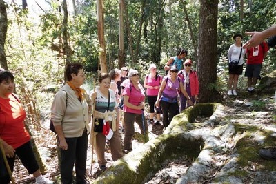 ESPECIAL - O ROSAL ACOLLEU A XII ANDAINA POR SAN VICENTE DE MARZN E O TORROSO