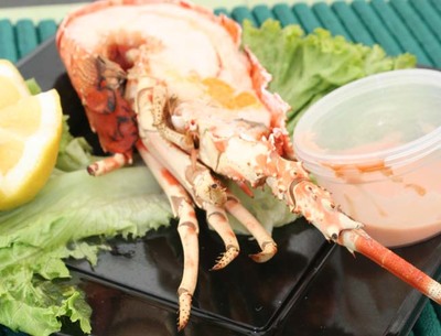 ESPECIAL - MILLEIROS DE VISITANTES DISFRUTARON DA XXIII FESTA DA LANGOSTA E DA COCIA MARIEIRA NA GUARDA