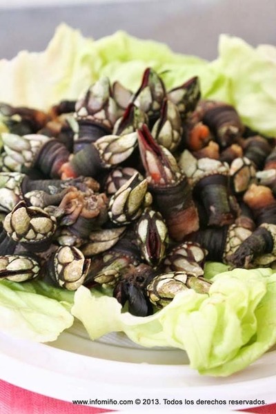 CONVOCATORIA PARA HOY MIRCOLES A LOS HOSTELEROS INTERESADOS EN PARTICIPAR EN LA II FIESTA DEL PERCEBE EN A GUARDA