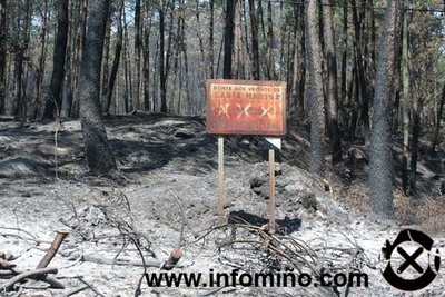 MIS DE 1200 HECTREAS QUEIMADAS EN MENOS DE 24 HORAS NO INCENDIO DE OIA E ROSAL