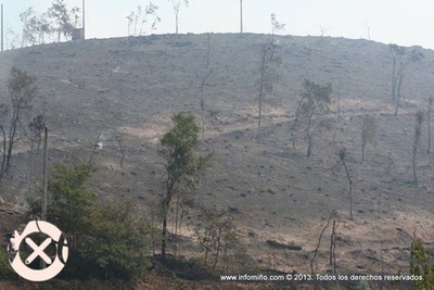 PANORAMA DESOLADOR NO INCENDIO BURGUEIRA-OIA E O ROSAL