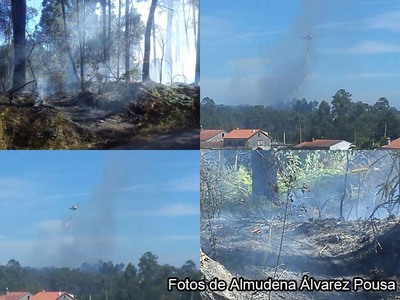 NOVO INCENDIO FORESTAL EN TOMI�O