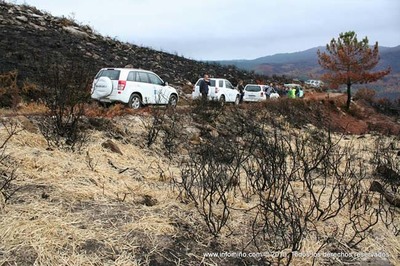 ESPECIAL - TRABALLOS DE PREVENCIN DE PERDA DE SOLO NOS MONTES AFECTADOS POLOS LUMES EN OIA E O ROSAL