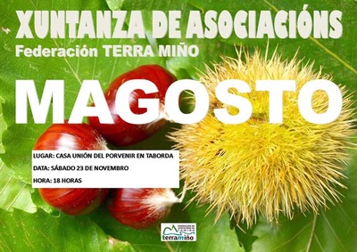 XUNTANZA DE ASOCIACINS FEDERACIN TERRAMIO O 23 DE NOVEMBRO DE 2013