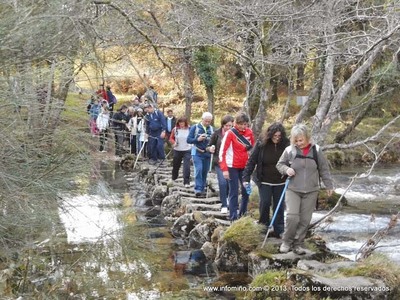 ESPECIAL - ANDAINA POLO RO BARBEIRA