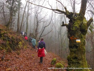 ESPECIAL - ANDAINA POLO SENDEIRO DAS FRAGAS E LEVADAS DO CALVO E DEVA